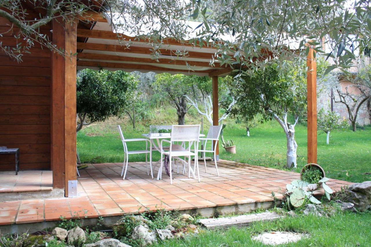 Villa Clementine Πιάτσα Αρμερίνα Εξωτερικό φωτογραφία