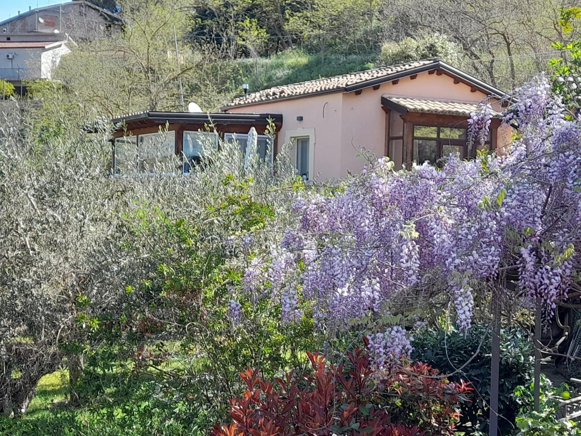 Villa Clementine Πιάτσα Αρμερίνα Εξωτερικό φωτογραφία