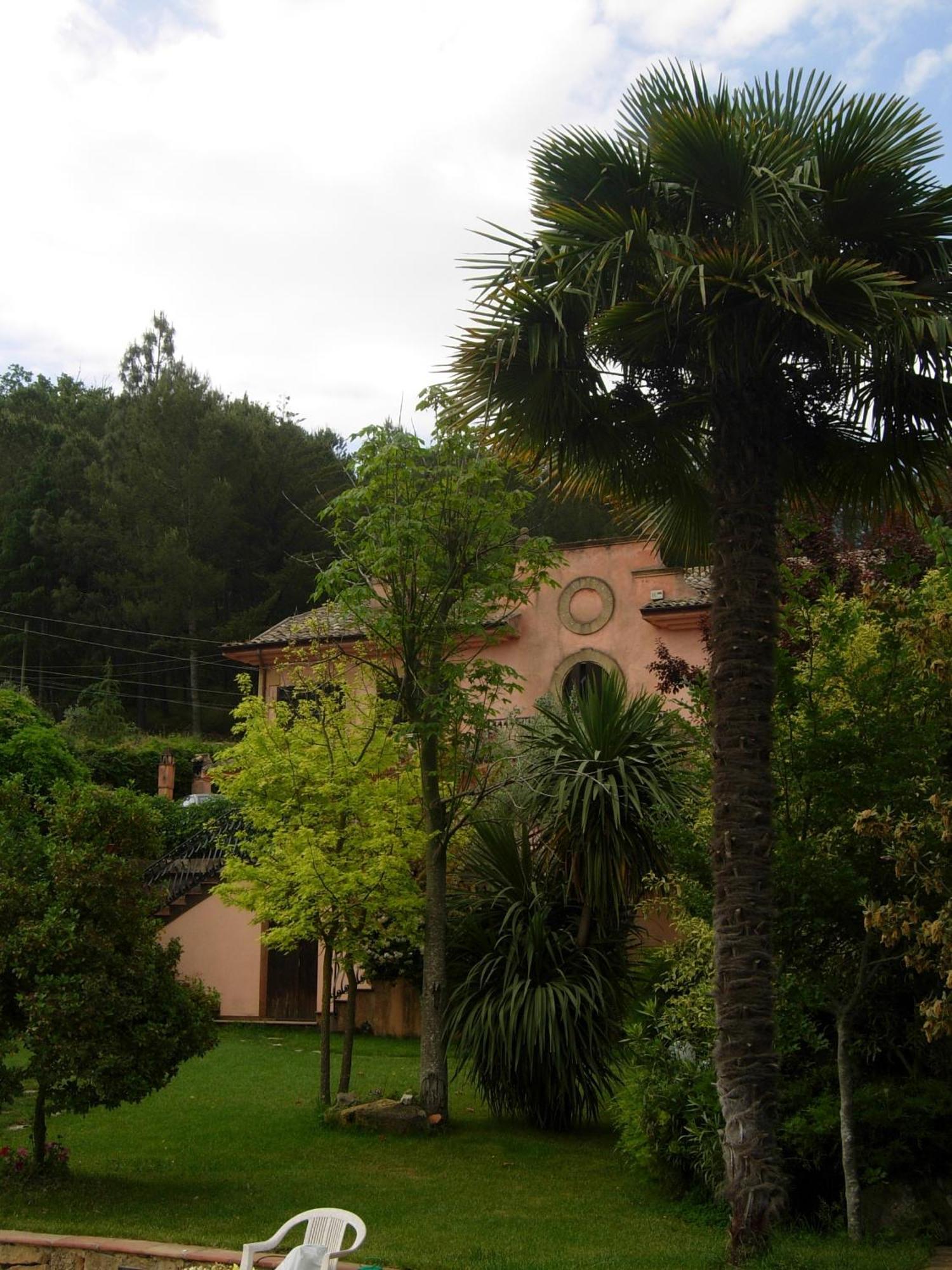 Villa Clementine Πιάτσα Αρμερίνα Εξωτερικό φωτογραφία